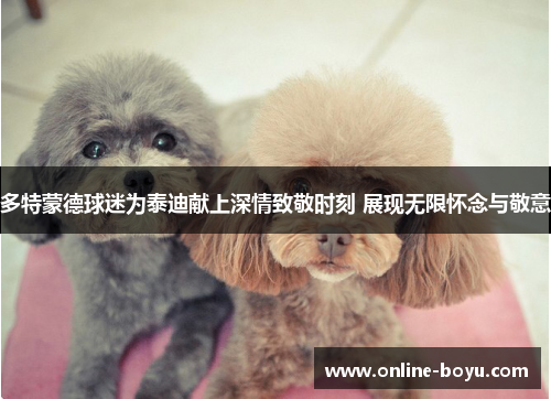 多特蒙德球迷为泰迪献上深情致敬时刻 展现无限怀念与敬意