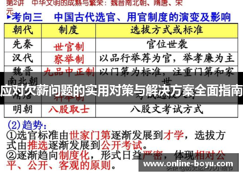 应对欠薪问题的实用对策与解决方案全面指南